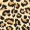 Multi Leopard Print Wide Leg Trousers Multi Leopard Print Wide Leg Trousers