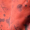 Rust Abstract Print Halter Neck Midi Dress Rust Abstract Print Halter Neck Midi Dress