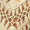 Cream Open Knit Crochet Fringe Hem Crop Top Cream Open Knit Crochet Fringe Hem Crop Top
