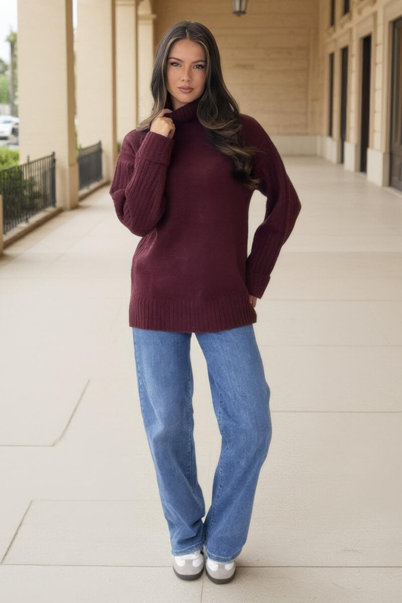 Burgundy Roll Neck Rib Detail Jumper Burgundy Roll Neck Rib Detail Jumper
